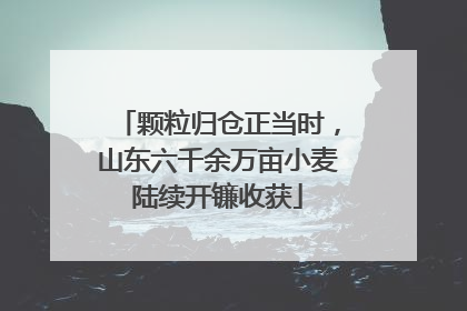 颗粒归仓正当时，山东六千余万亩小麦陆续开镰收获