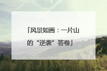 风景如画：一片山的“逆袭”答卷