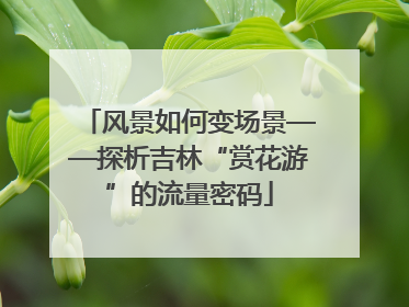 风景如何变场景——探析吉林“赏花游”的流量密码