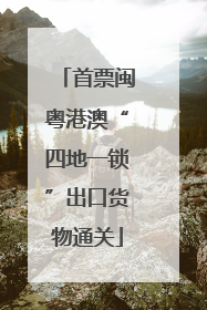 首票闽粤港澳“四地一锁”出口货物通关
