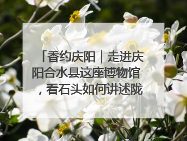 香约庆阳｜走进庆阳合水县这座博物馆，看石头如何讲述陇东千年历史