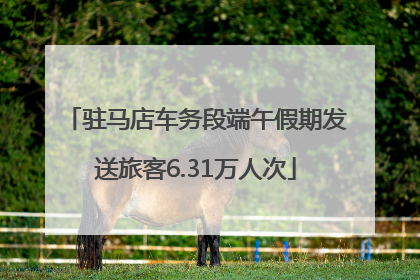 驻马店车务段端午假期发送旅客6.31万人次