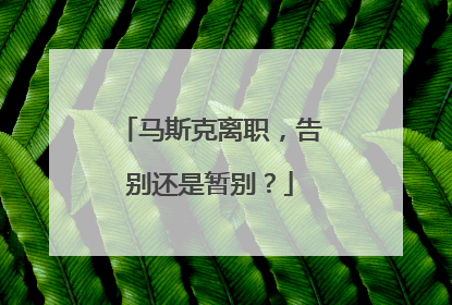 马斯克离职，告别还是暂别？