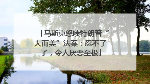 马斯克怒喷特朗普“大而美”法案：忍不了了，令人厌恶至极