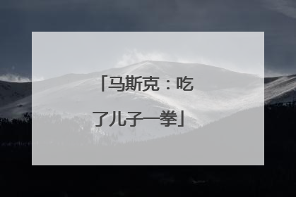 马斯克：吃了儿子一拳