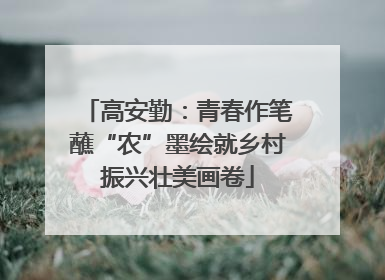 高安勤：青春作笔蘸“农”墨绘就乡村振兴壮美画卷