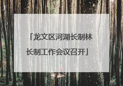 龙文区河湖长制林长制工作会议召开