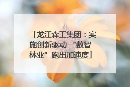 龙江森工集团：实施创新驱动 “数智林业”跑出加速度