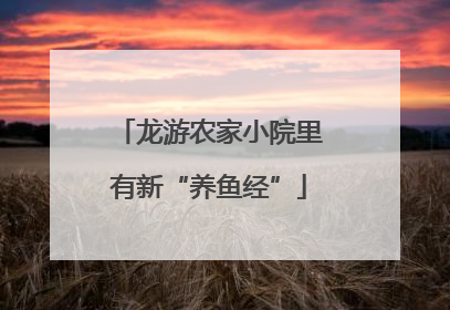 龙游农家小院里有新“养鱼经”
