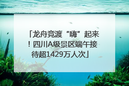 龙舟竞渡“嗨”起来！四川A级景区端午接待超1429万人次