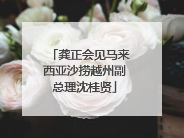 龚正会见马来西亚沙捞越州副总理沈桂贤
