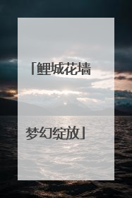 鲤城花墙 梦幻绽放