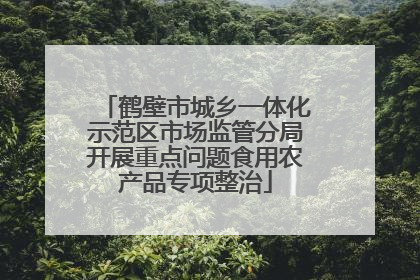 鹤壁市城乡一体化示范区市场监管分局开展重点问题食用农产品专项整治