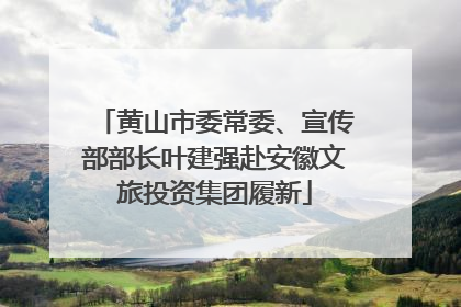 黄山市委常委、宣传部部长叶建强赴安徽文旅投资集团履新