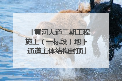 黄河大道二期工程施工（一标段）地下通道主体结构封顶
