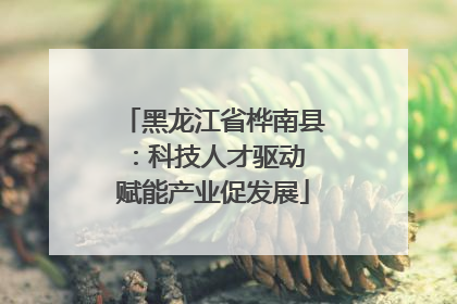 黑龙江省桦南县：科技人才驱动 赋能产业促发展