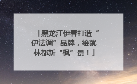 黑龙江伊春打造“伊法调”品牌，绘就林都新“枫”景！