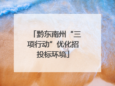黔东南州“三项行动”优化招投标环境