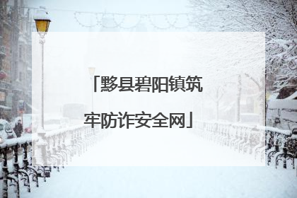 黟县碧阳镇筑牢防诈安全网