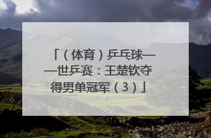 （体育）乒乓球——世乒赛：王楚钦夺得男单冠军（3）