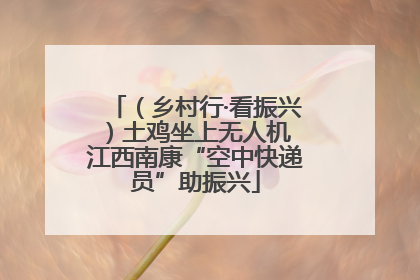 （乡村行·看振兴）土鸡坐上无人机 江西南康“空中快递员”助振兴