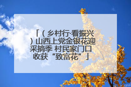 （乡村行·看振兴）山西上党金银花迎采摘季 村民家门口收获“致富花”