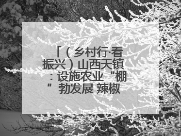 （乡村行·看振兴）山西天镇：设施农业“棚”勃发展 辣椒产业蓄势待发