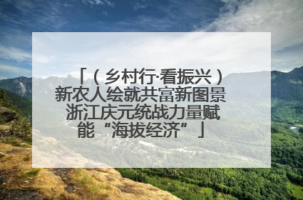 （乡村行·看振兴）新农人绘就共富新图景 浙江庆元统战力量赋能“海拔经济”
