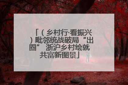 （乡村行·看振兴）毗邻统战破局“出圈” 浙沪乡村绘就共富新图景