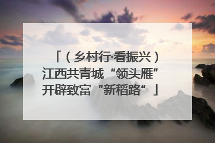（乡村行·看振兴）江西共青城“领头雁”开辟致富“新稻路”