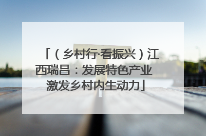 （乡村行·看振兴）江西瑞昌：发展特色产业 激发乡村内生动力