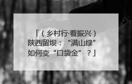 （乡村行·看振兴）陕西留坝：“满山绿”如何变“口袋金”？