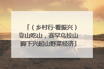 （乡村行·看振兴）靠山吃山，赛罕乌拉山脚下兴起山野菜经济