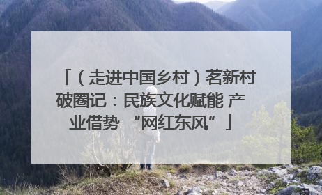 （走进中国乡村）茗新村破圈记：民族文化赋能 产业借势 “网红东风”