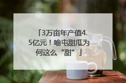 3万亩年产值4.5亿元！喻屯甜瓜为何这么“甜”