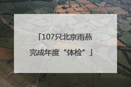 107只北京雨燕完成年度“体检”