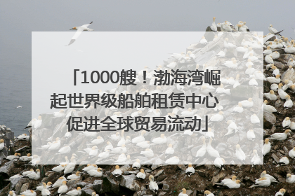 1000艘！渤海湾崛起世界级船舶租赁中心 促进全球贸易流动
