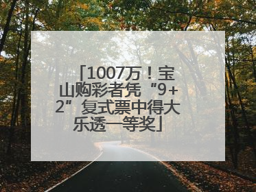 1007万！宝山购彩者凭“9+2”复式票中得大乐透一等奖