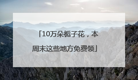 10万朵栀子花，本周末这些地方免费领