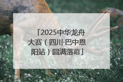 2025中华龙舟大赛（四川·巴中恩阳站）圆满落幕