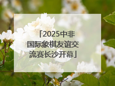 2025中非国际象棋友谊交流赛长沙开幕