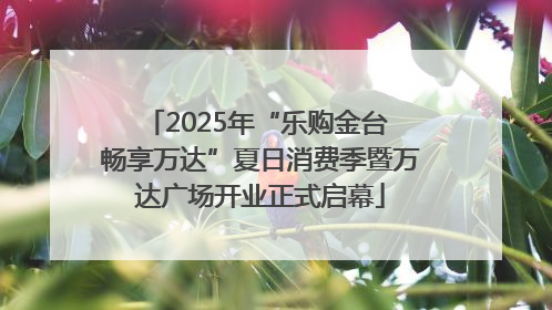 2025年“乐购金台 畅享万达”夏日消费季暨万达广场开业正式启幕