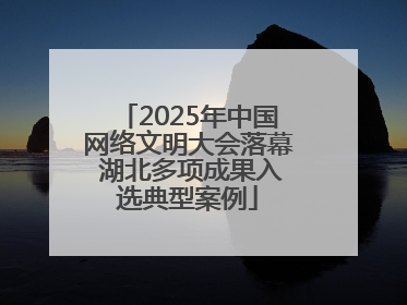 2025年中国网络文明大会落幕 湖北多项成果入选典型案例