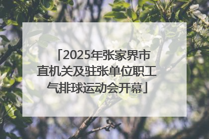 2025年张家界市直机关及驻张单位职工气排球运动会开幕
