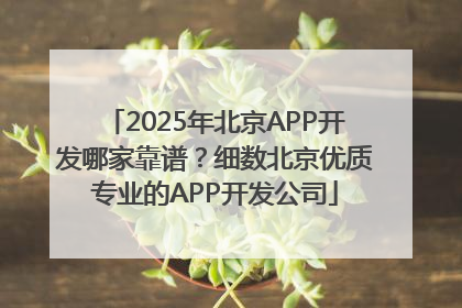 2025年北京APP开发哪家靠谱？细数北京优质专业的APP开发公司