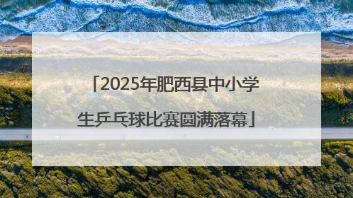 2025年肥西县中小学生乒乓球比赛圆满落幕