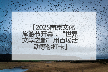 2025南京文化旅游节开幕：“世界文学之都”用百场活动等你打卡