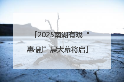 2025南湖有戏“惠·剧”展大幕将启