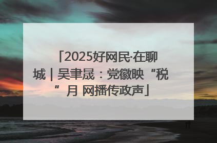 2025好网民·在聊城｜吴聿晟：党徽映“税”月 网播传政声
