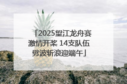 2025望江龙舟赛激情开桨 14支队伍劈波斩浪迎端午